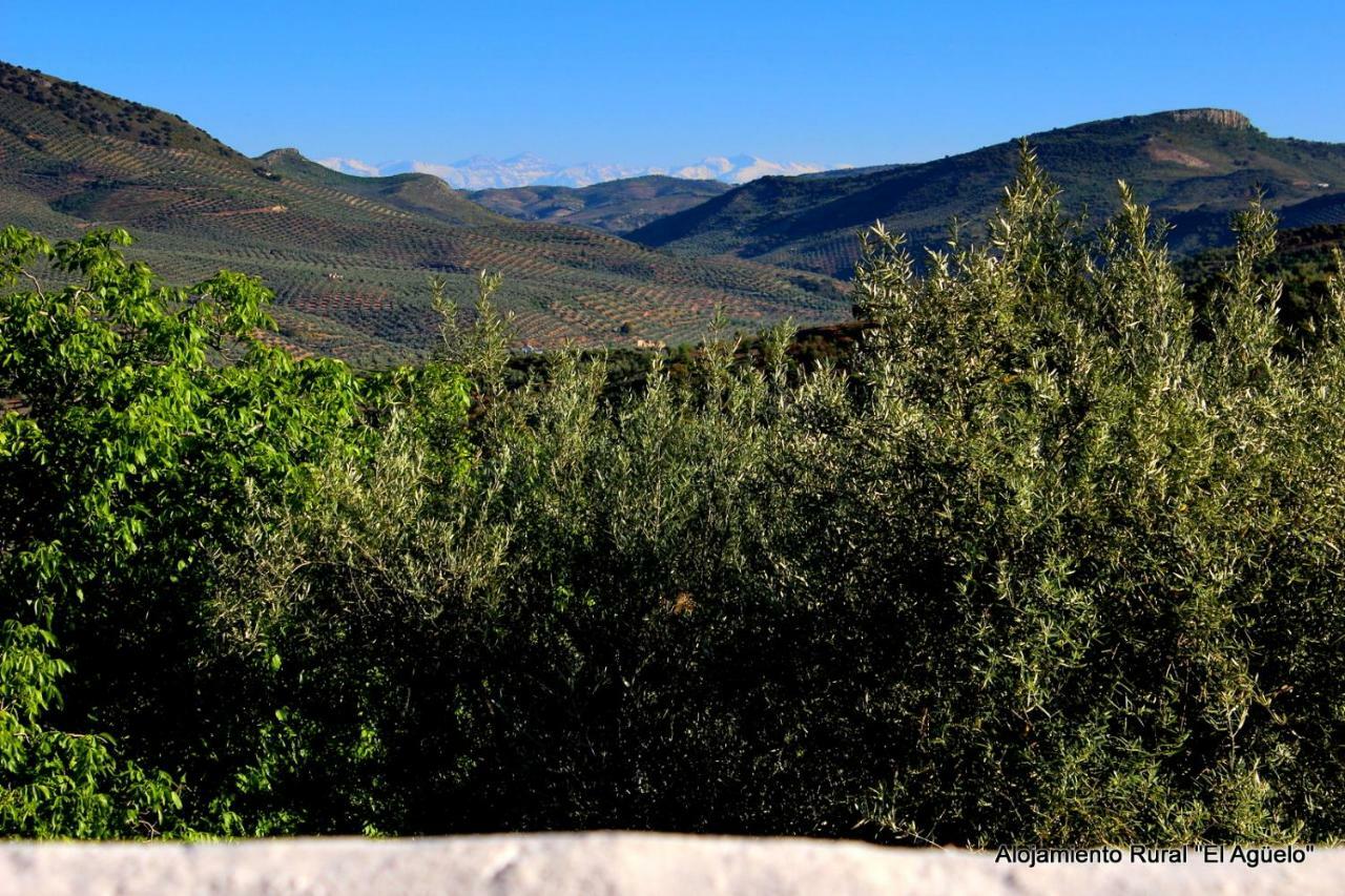 Alojamiento Rural El Agueelo Huelma Dış mekan fotoğraf