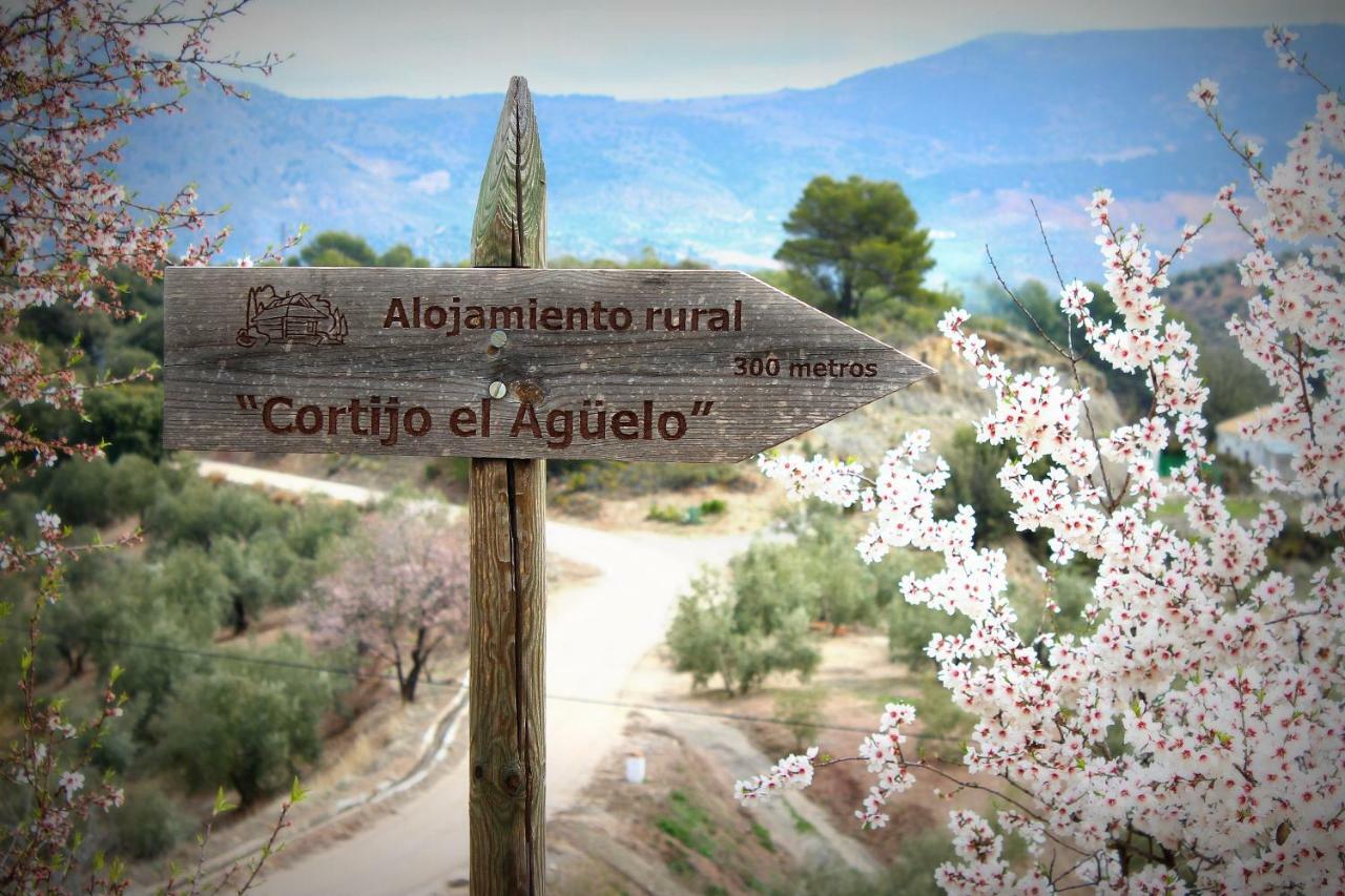 Alojamiento Rural El Agueelo Huelma Dış mekan fotoğraf